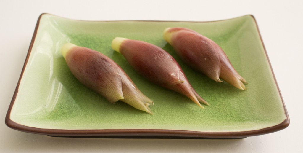 Myoga